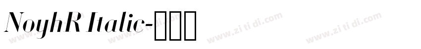 NoyhR Italic字体转换 NoyhR Italic字体转换